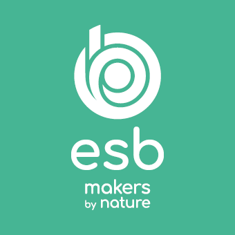 ESB - Ecole d ingénieurs